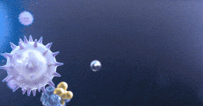 1754910590477643.gif